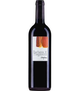 Magliocco et Fils | Barbera x Magliocco AOC