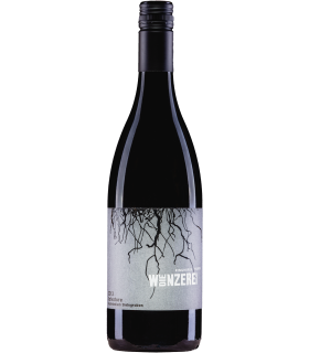 BLAUFRÄNKISCH SALVATORE | 2013