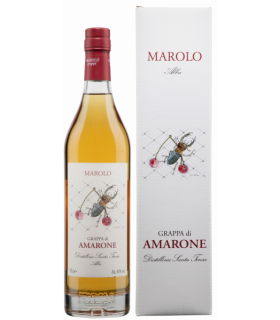 Distilleria Marolo | Grappa di Amarone (70 cl)