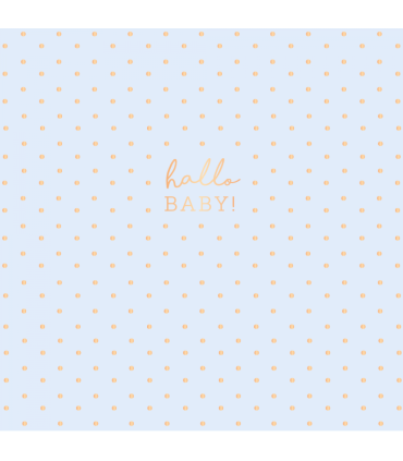 Grafik Werkstatt | Doppelkarte Geburtskarte "Hallo Baby!" (blau)