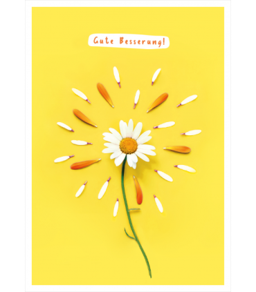Grafik Werkstatt | Doppelkarte Glückwunschkarte "Gute Besserung!"  (Foto: © masterq/stock.adobe.com) 