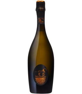 De Sousa | Champagne AC Grand Cru Cuvée Mycorhize Extra Brut (75 cl)
