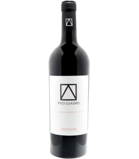 Pico Cuadro | Ribera del Duero DO Vendimia Seleccionada 2018 (75 cl)