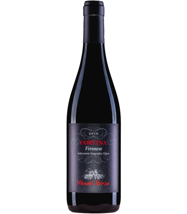 Sterza | Corvina IGT Varonese 2019 (75 cl)