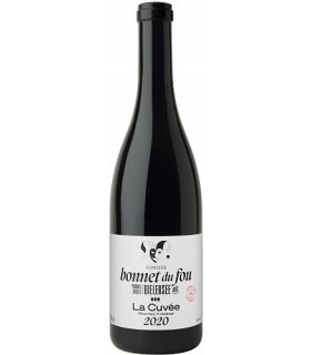 Bonnet du Fou | La Cuvée Pinot Noir Diolinoir AOC Bielersee 2020 (75 cl)