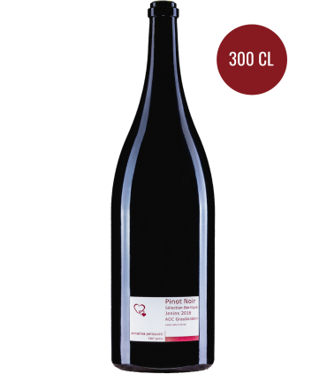Annatina Pelizzatti | Pinot Noir Barrique AOC Graubünden 2020 (300 cl)