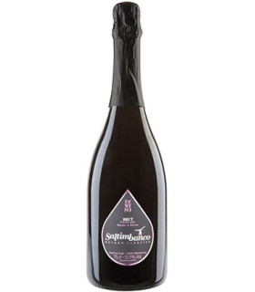 FAWINO | Saltimbanco Brut Rosato di Merlot IGT Svizzera N.V. (75 cl)
