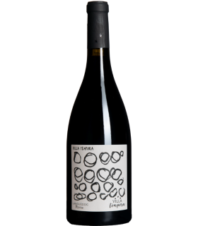Villa Tempora | Villa Tempora AOC Languedoc - Carignan, Syrah, Grenache 2019 (75 cl)