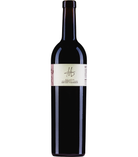 Reto Müller | Aja Gamaret + Diolinoir AOC Valais 2020 (75 cl)