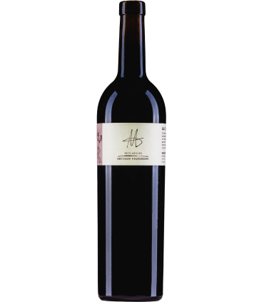 Reto Müller | Aja Gamaret + Diolinoir AOC Valais 2020 (75 cl)