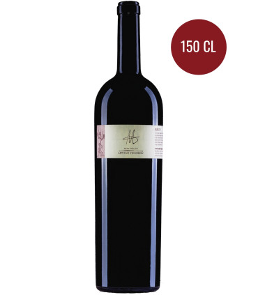 Reto Müller | Aja Gamaret + Diolinoir AOC Valais 2020 Magnum (150 cl)
