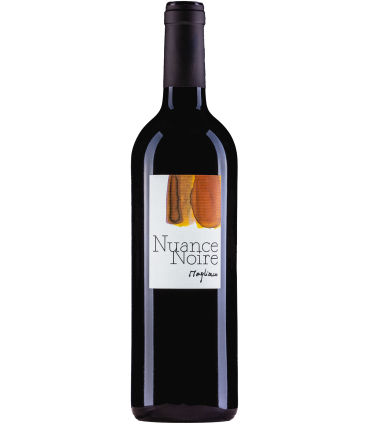 Magliocco et Fils | Nuance Noire Cabernet Franc, Merlot, Syrah AOC Valais 2020 (75 cl)