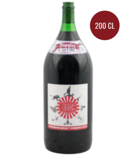 Birgit Wiederstein | Zirkus Zirkus Rot Zweigelt DAC Carnuntum 2021 Doppler (200 cl)