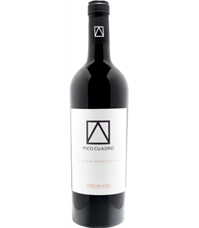 Pico Cuadro | Ribera del Duero DO Vendimia Seleccionada 2019 (75 cl)