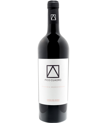 Pico Cuadro | Ribera del Duero DO Vendimia Seleccionada 2019 (75 cl)