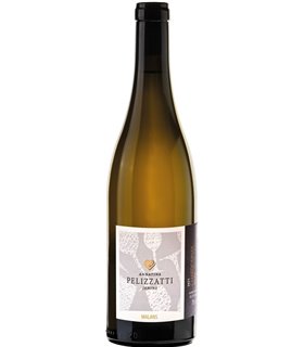 Annatina Pelizzatti | Chardonnay Malans AOC Graubünden 2022 (75 cl)