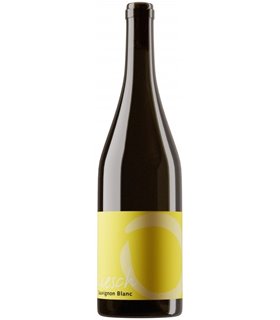 Liesch Weine | Sauvignon Blanc Malans AOC Graubünden 2022 (75 cl)