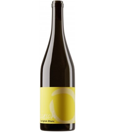 Liesch Weine | Sauvignon Blanc Malans AOC Graubünden 2022 (75 cl)