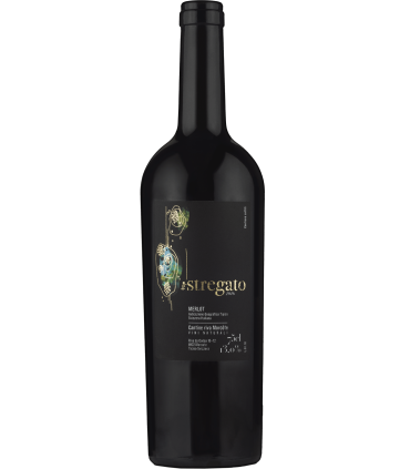 Cantine Riva Morcôte | Stregato Rosso Merlot DOC Ticino 2022 (75 cl)