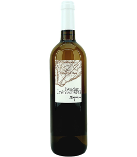 Magliocco et Fils | Fendant Trémazières Chasselas AOC Valais 2021 (75 cl)