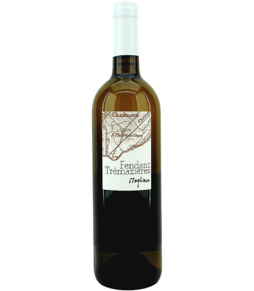 Magliocco et Fils | Fendant Trémazières Chasselas AOC Valais 2021 (75 cl)