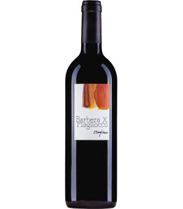 Magliocco et Fils | Barbera x Magliocco AOC Valais 2021 (75 cl)