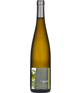 Domaine Agapé | Sylvaner Vieilles Vignes AC Alsace 2023 (75 cl)