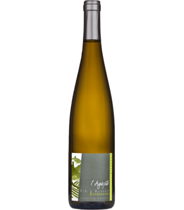 Domaine Agapé | Sylvaner Vieilles Vignes AC Alsace 2023 (75 cl)