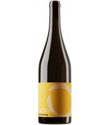 Liesch Weine | Rheinriesling AOC Graubünden 2023 (75 cl)