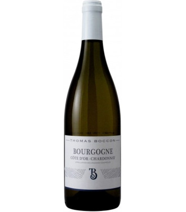 Domaine Thomas Boccon | Bourgogne Côte d'Or Chardonnay AC 2022 (75 cl)