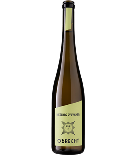 Obrecht | Riesling Sylvaner AOC Graubünden 2023 (75 cl)