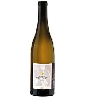 Annatina Pelizzatti | Chardonnay Halde Fläsch AOC Graubünden 2024 (75 cl)