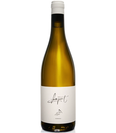 Weingut Lampert | Chardonnay Sternenfeld AOC Graubünden 2023 (75 cl)