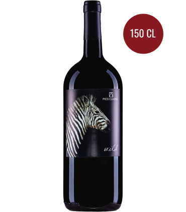 Pico Cuadro | Wild DO Ribera del Duero 2021 (150 cl)