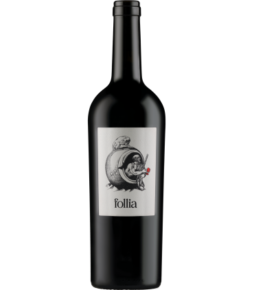 Cantine Riva Morcôte | Follia Merlot DOC Ticino 2024 (75 cl)