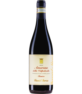 David Sterza | Amarone della Valpolicella Classico DOCG 2021 (75 cl)